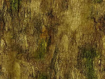 bark texture (ID:ffagg69925)