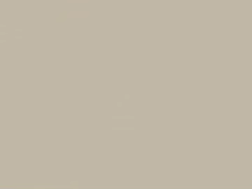 Off-white latex paint, wall coating texture (ID:ffaeh346832)