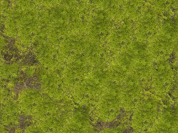 Turf texture (ID:ffabg20703)