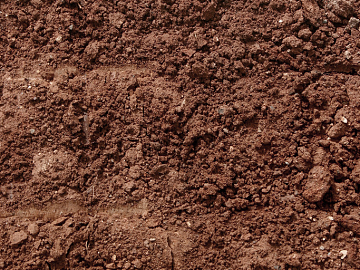 Mud texture (ID:ffaff0739)