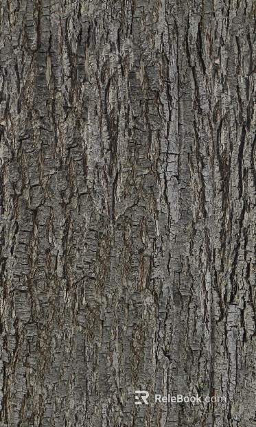 bark texture
