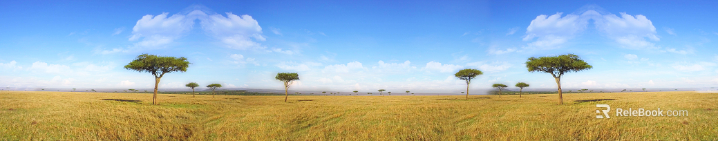 Wild Scenery texture