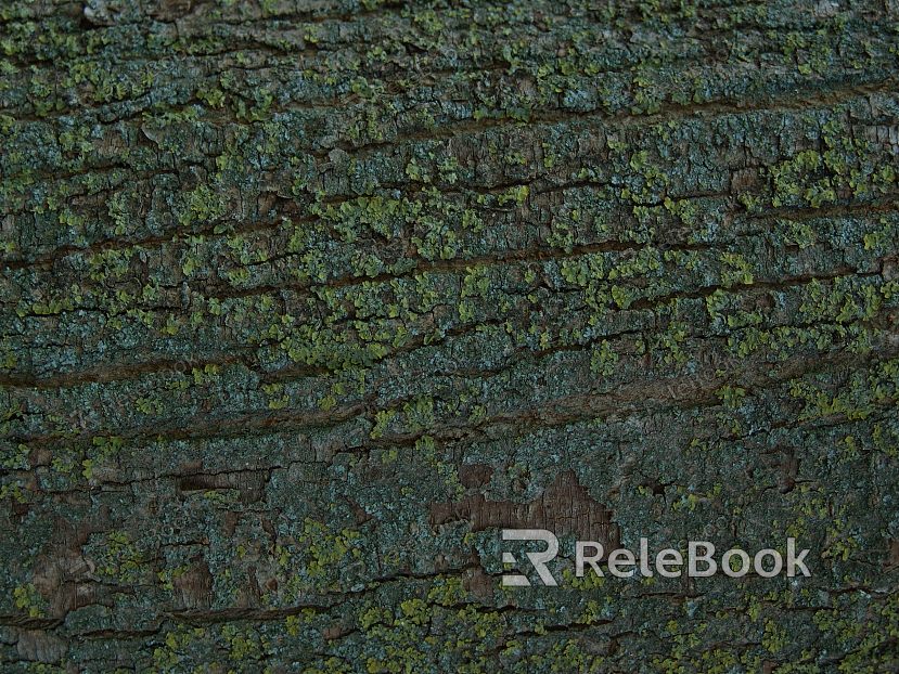 A close-up of a weathered, brown tree bark with deep, vertical cracks and moss growth, set against a blurred green foliage background.