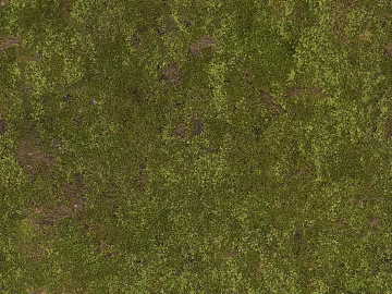 Turf texture (ID:ffach072666)
