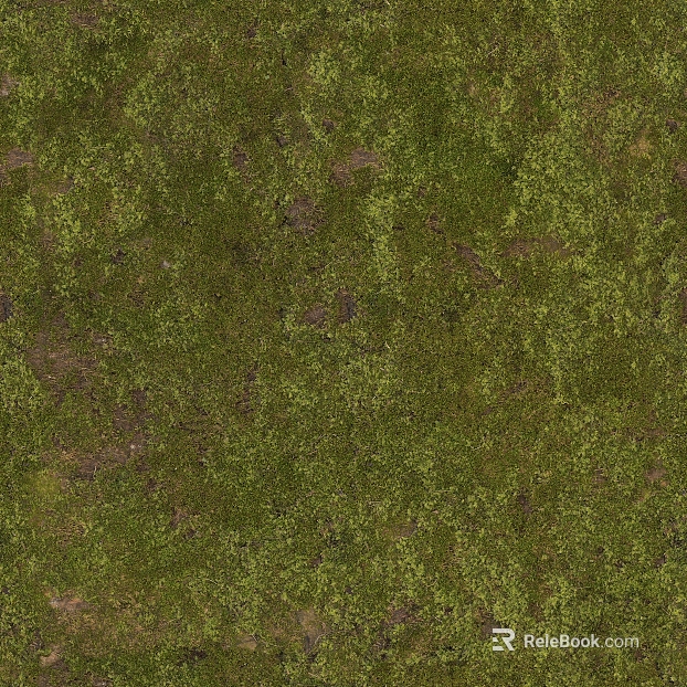 Turf texture