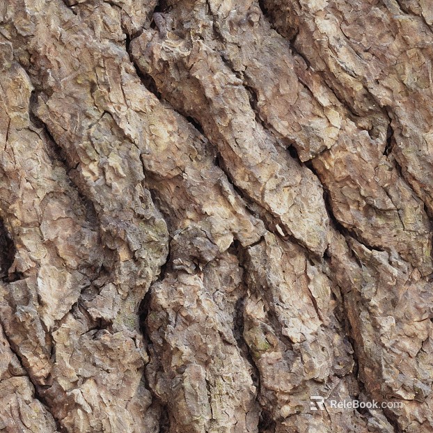 Taupe bark texture natural decoration texture