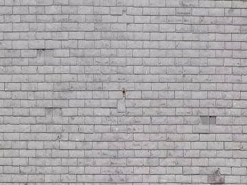 Brick wall texture (ID:ffajg79124)