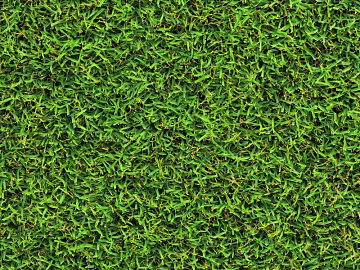 Grassland texture (ID:ffach683611)