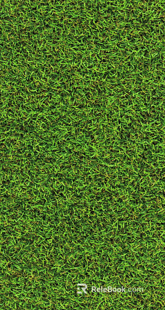 Grassland texture