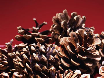 Plant painting texture (ID:ffagg75763)