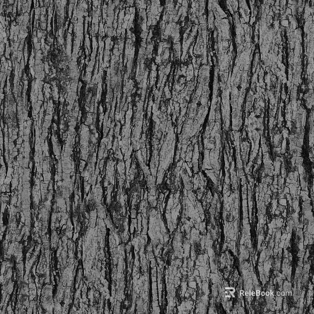 ancient tree bark texture