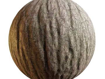 Bark PBR texture (ID:ffach291124)