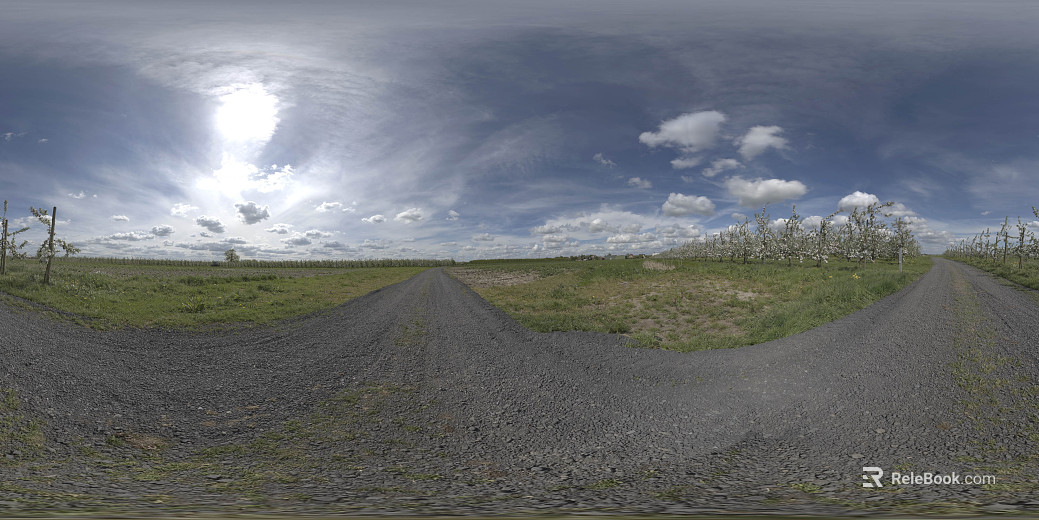 Outdoor Field Road Daytime HDR texture