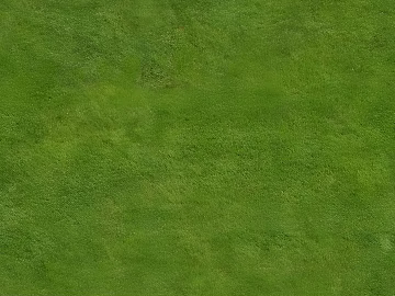 Grassland texture (ID:ffach605956)
