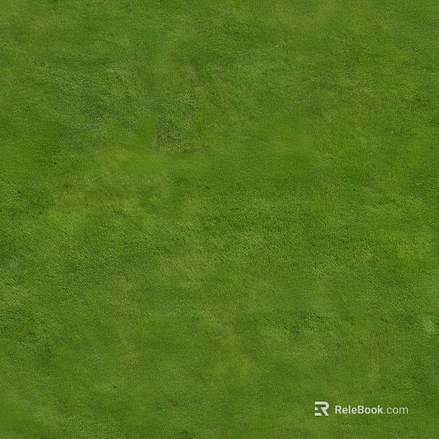 Grassland texture