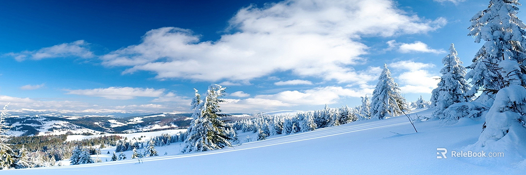 Wild Scenery texture