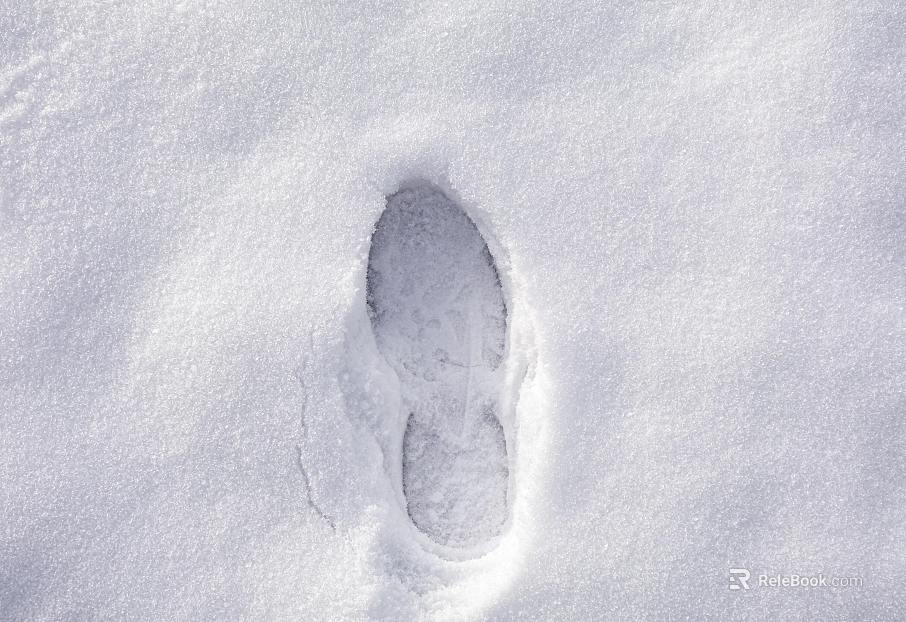 Snow texture