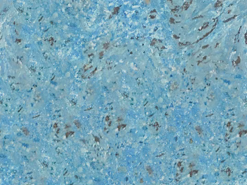 Blue terrazzo floor building materials texture (ID:ffaeh095676)