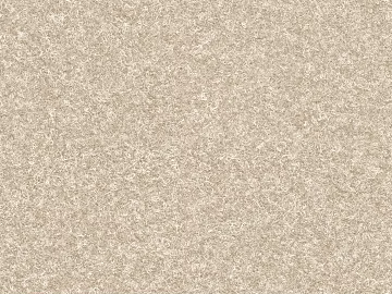 Coarse carpet texture (ID:ffadg64474)