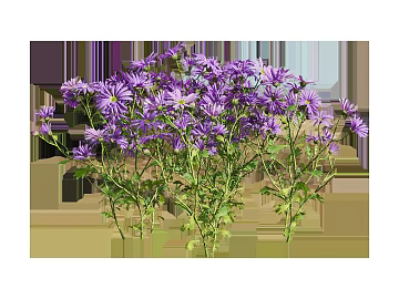 Flowers texture (ID:ffajg17367)