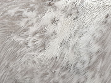 animal fur texture (ID:ffajg87417)