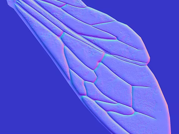 Blue purple gradient worm wing normal map texture (ID:ffaeh410726)