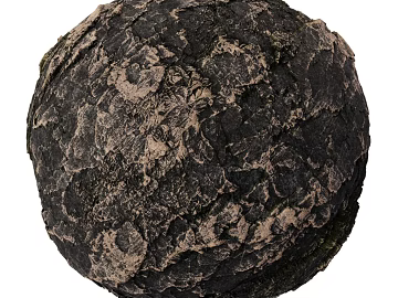 Ground PBR texture (ID:ffach504681)
