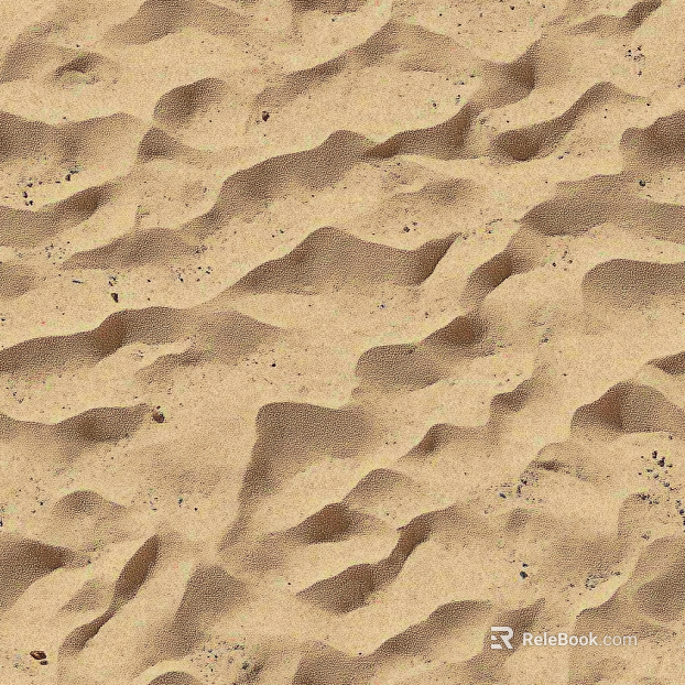 sandy beach beach texture