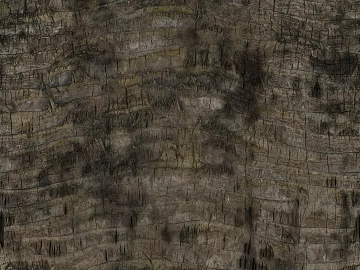 bark texture (ID:ffach742950)