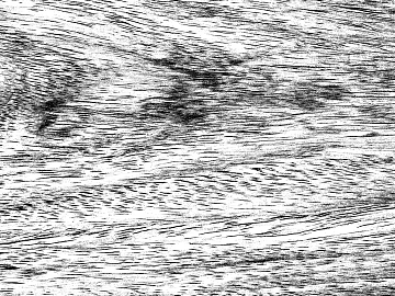 Black and White Bump texture (ID:ffaeg32695)