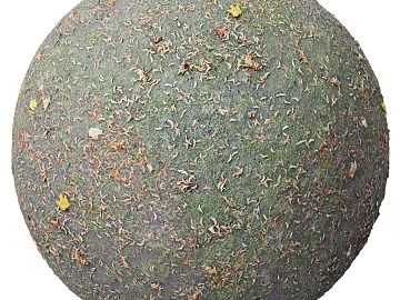 deciduous PBR texture (ID:ffach957281)