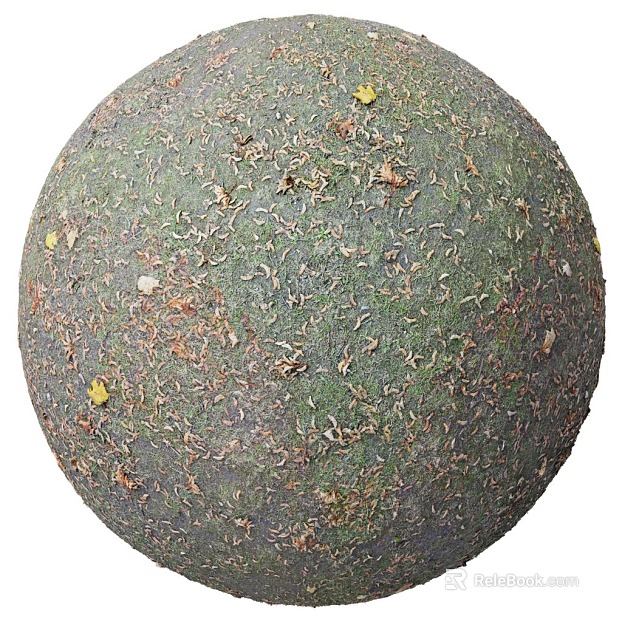 deciduous PBR texture