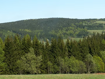 Wild Scenery texture (ID:ffajg34684)