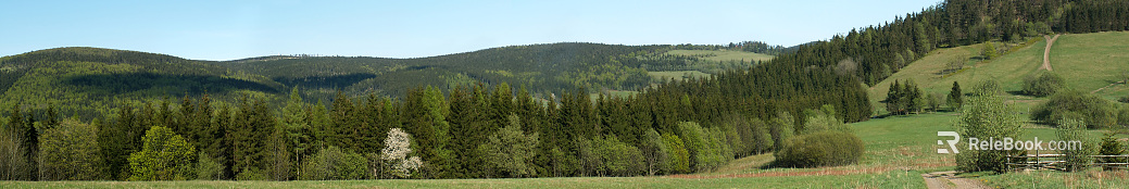 Wild Scenery texture
