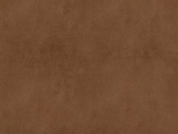 fine grain leather texture (ID:ffacg00089)