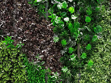 Plant wall texture (ID:ffaef4787)