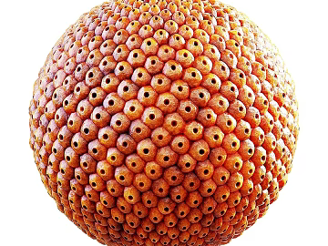 Biological PBR texture (ID:ffach689994)