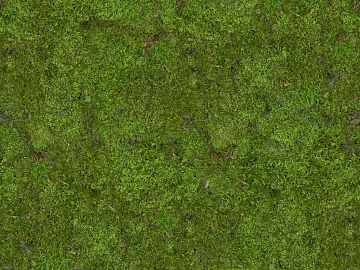 Turf texture (ID:ffach654466)