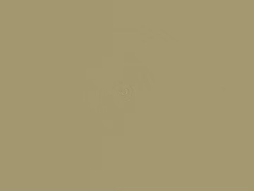 Khaki emulsion paint interior wall texture (ID:ffaeh810726)