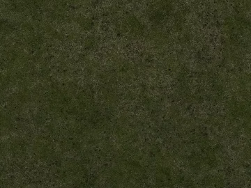 Turf texture (ID:ffach578965)