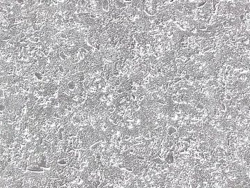 cement seamless texture (ID:ffhge309)