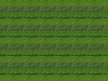 Plants texture (ID:ffabg56013)