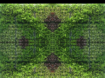 Plant wall texture (ID:ffajf5479)