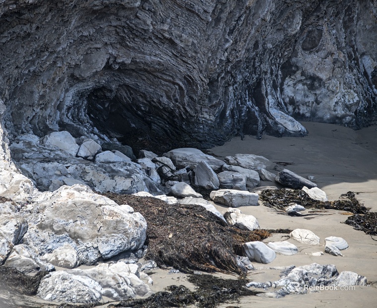 Wild Scenery texture