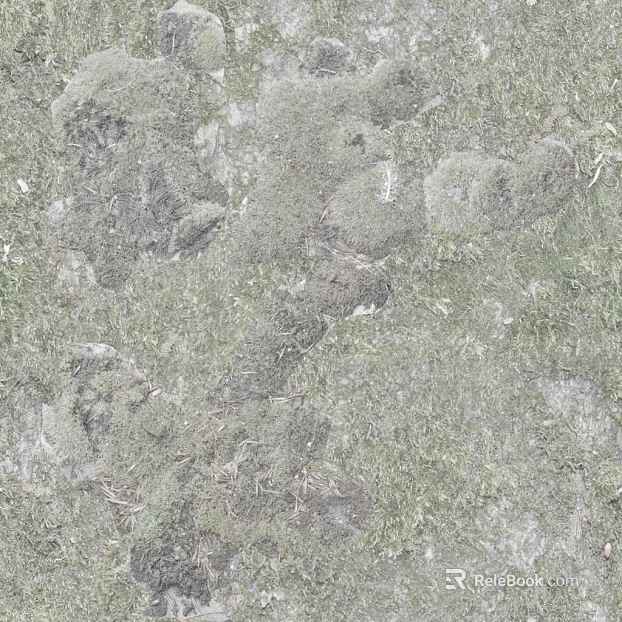 moss texture