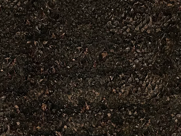 bark texture (ID:ffagg02398)