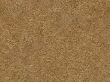 fine grain leather texture (ID:ffajg57091)