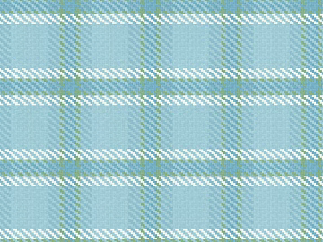 Plaid texture (ID:ffach548710)