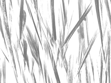 gray plant line wallpaper texture (ID:ffaeh621596)