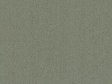 Wood veneer texture (ID:ffaeh480174)